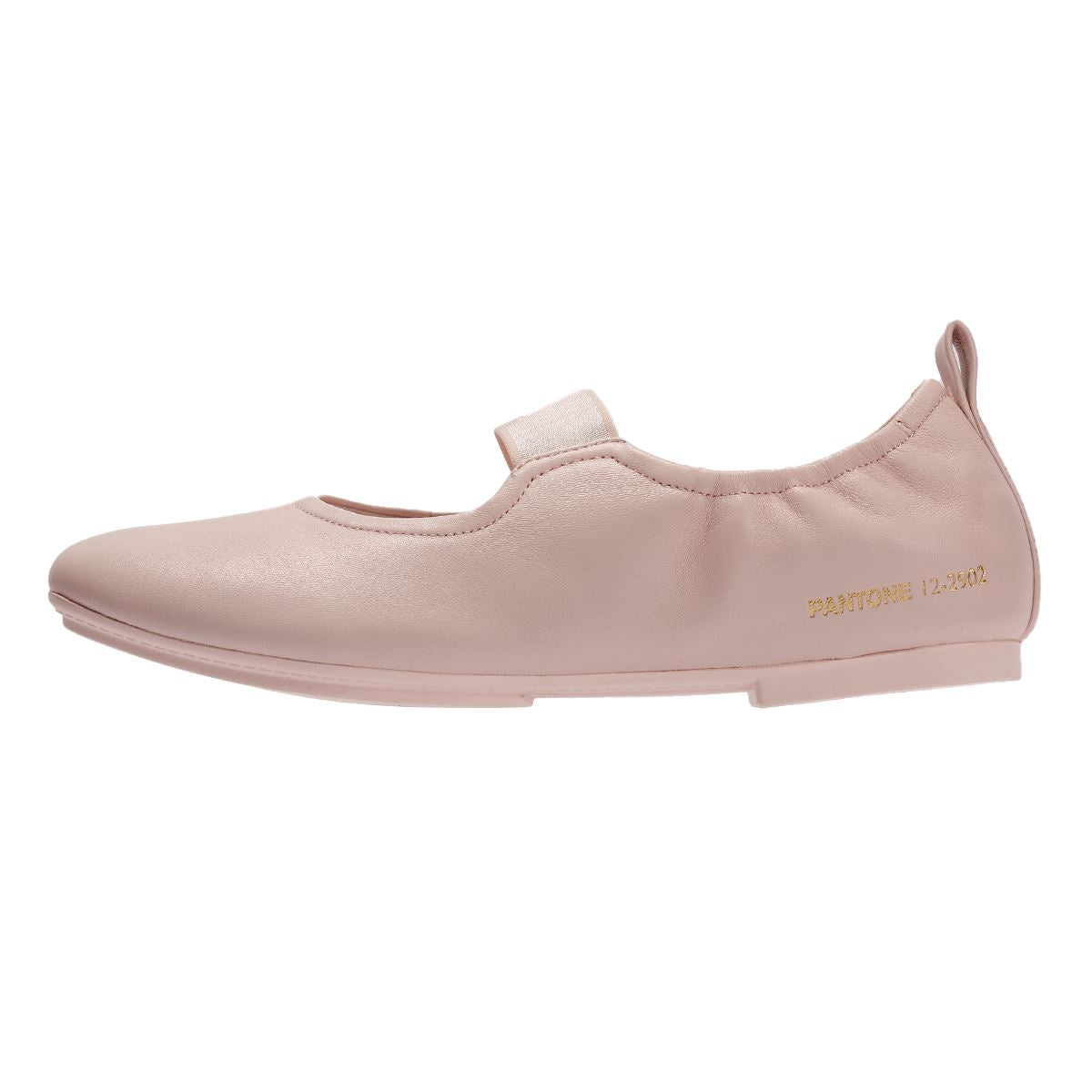 FitFlop X Pantone Delicato Mary Jane Leather Women's Mauve Shoes