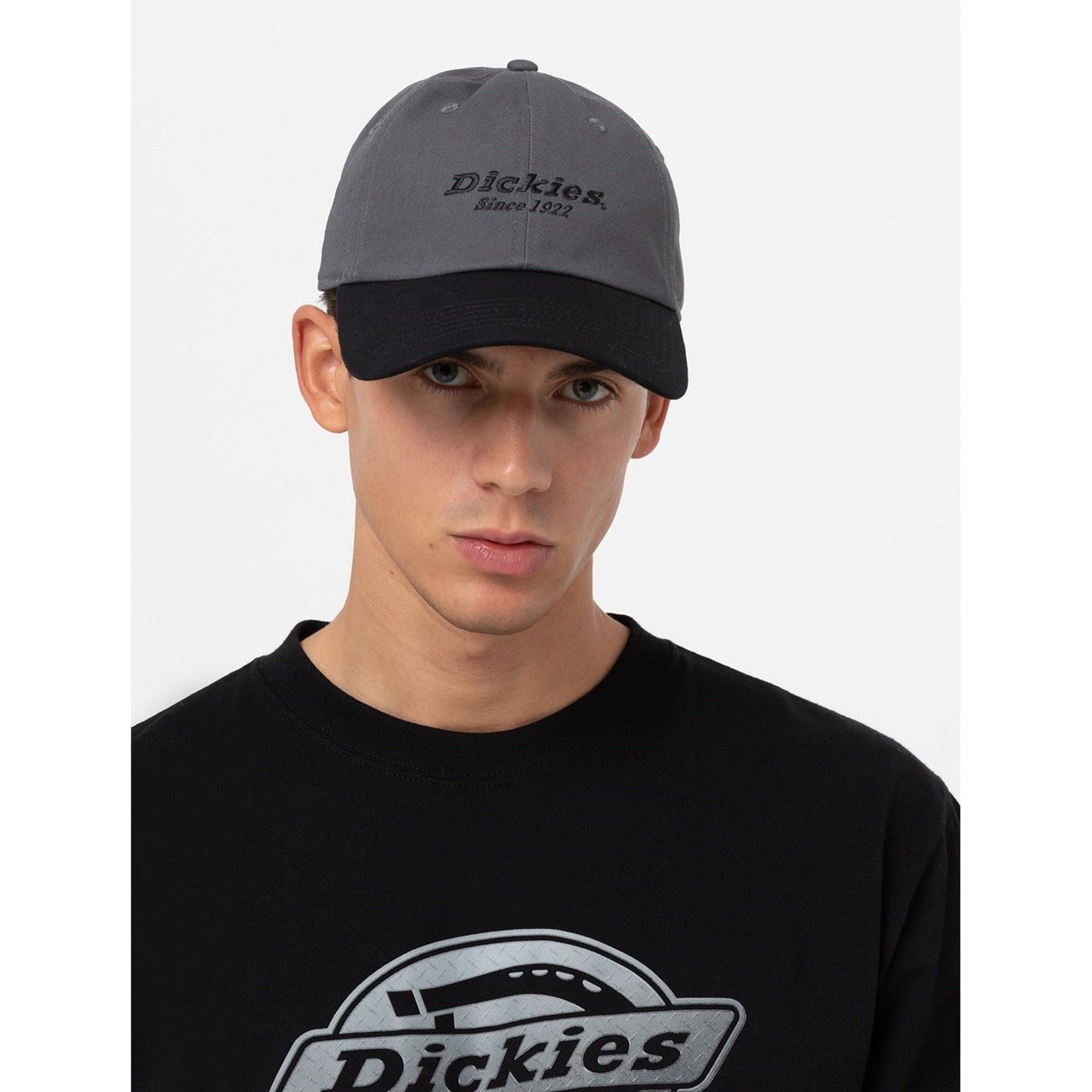 Dickies Everyday Dickies Twill Cotton Unisex Adults's Grey Baseball Caps