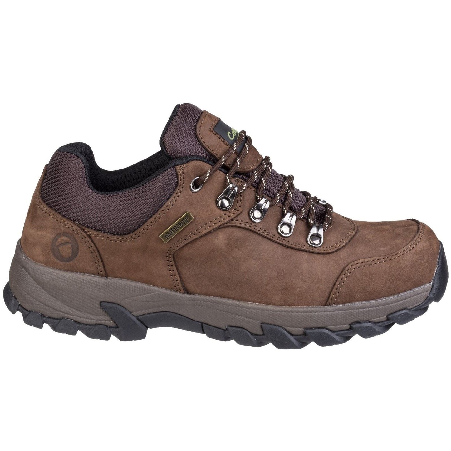 Cotswold Men's Hawling Shoe in Brown