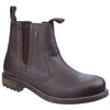Cotswold Men's Worcester Boot in Brown