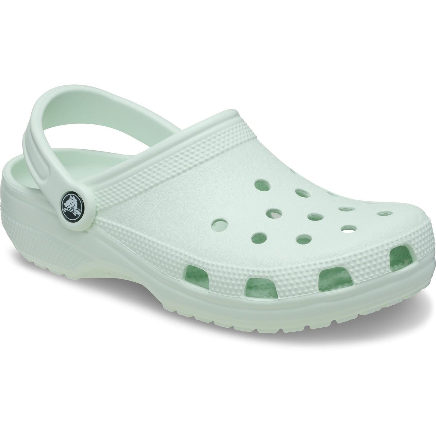 Crocs Classic Clog Thermoplastic Mint Tint Clogs