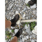 Hi-Tec Ravine Pro Leather Men's Brown Hiking Boots