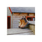 Cotswold Aston Leather Boy's Tan Flat Chelsea Boots
