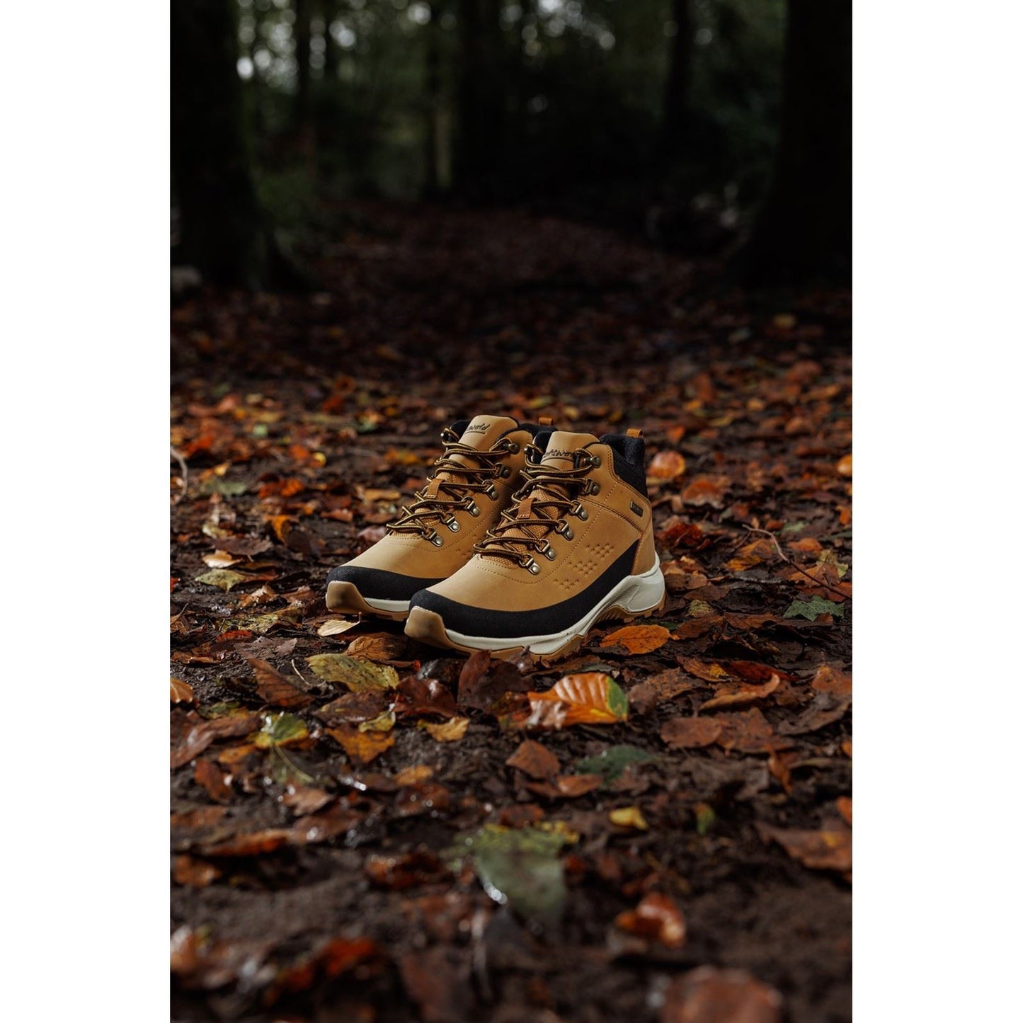 Cotswold Ryeford Leather Men's Tan Hiking Boots