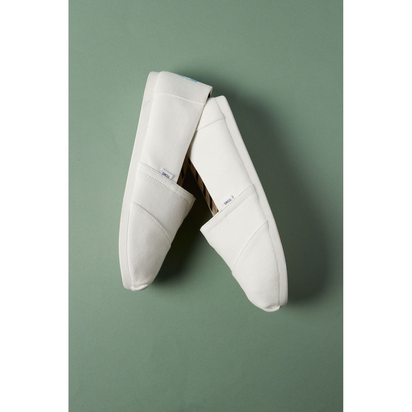 TOMS Men's Alpargata Shoes in White