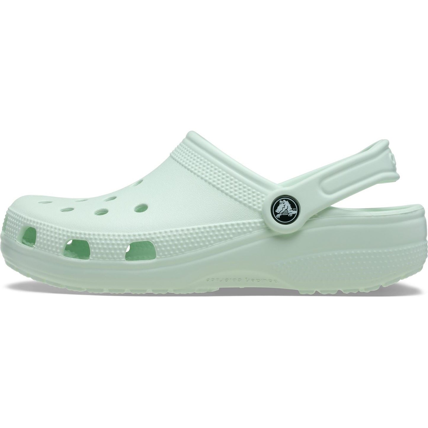 Crocs Classic Clog Thermoplastic Mint Tint Clogs
