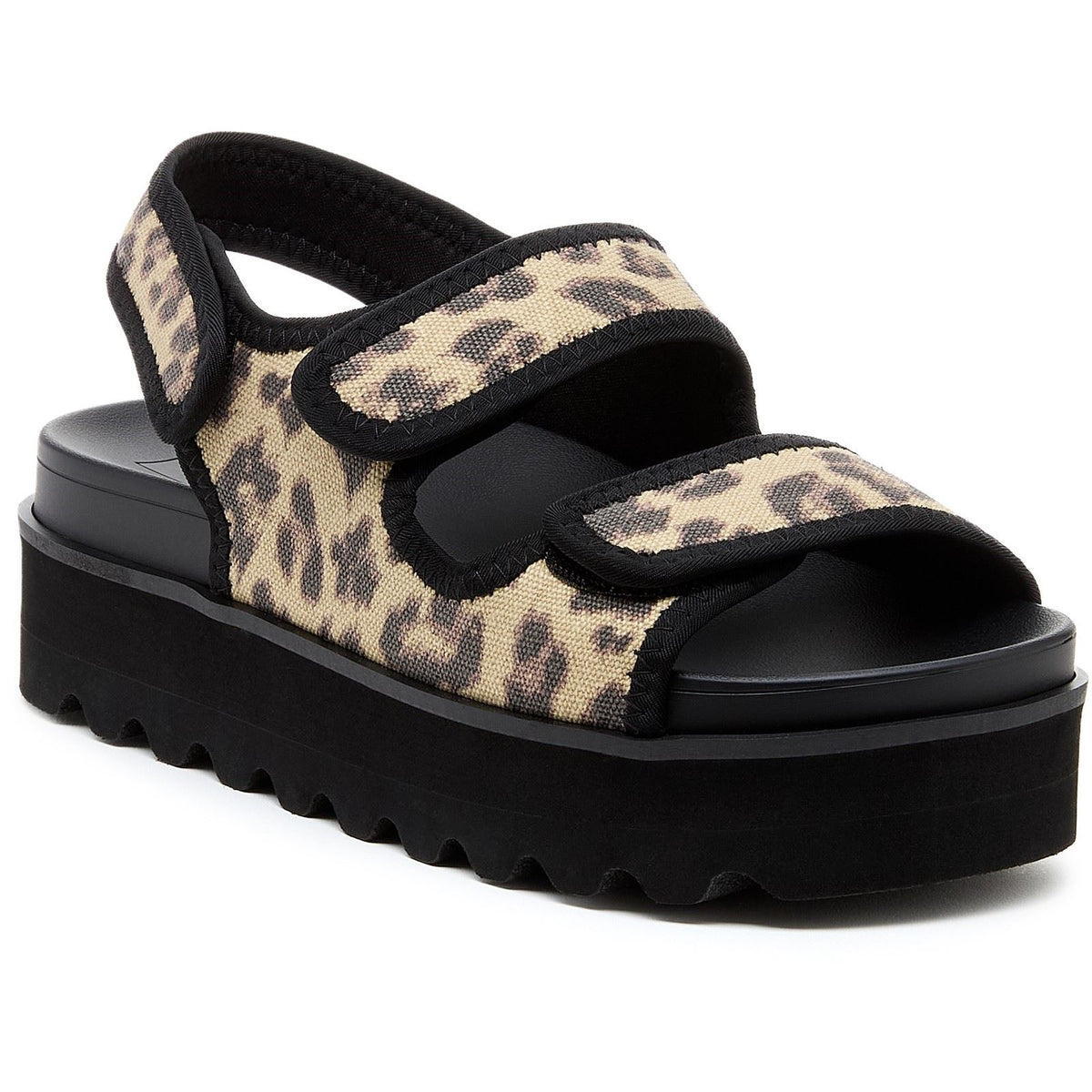 Rocket Dog Women's Balmy Dexter Sandal in Tan/Black
