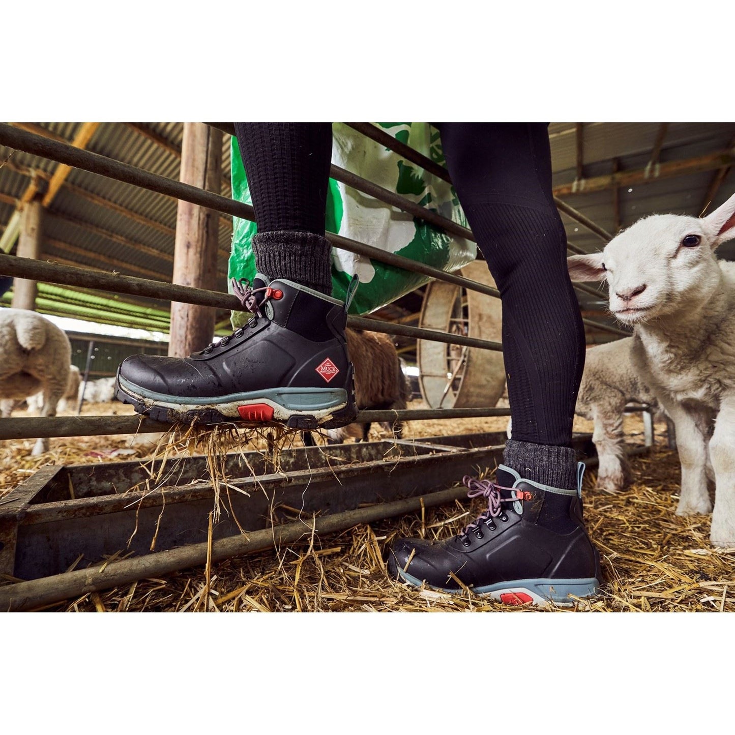 Muck Boots Women's Apex Wellingtons in Black
