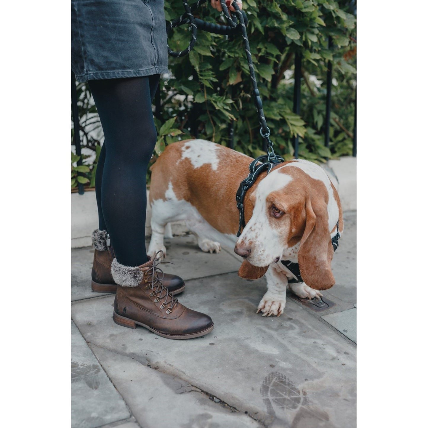 Hush Puppies Women's Effie Boot in Brown