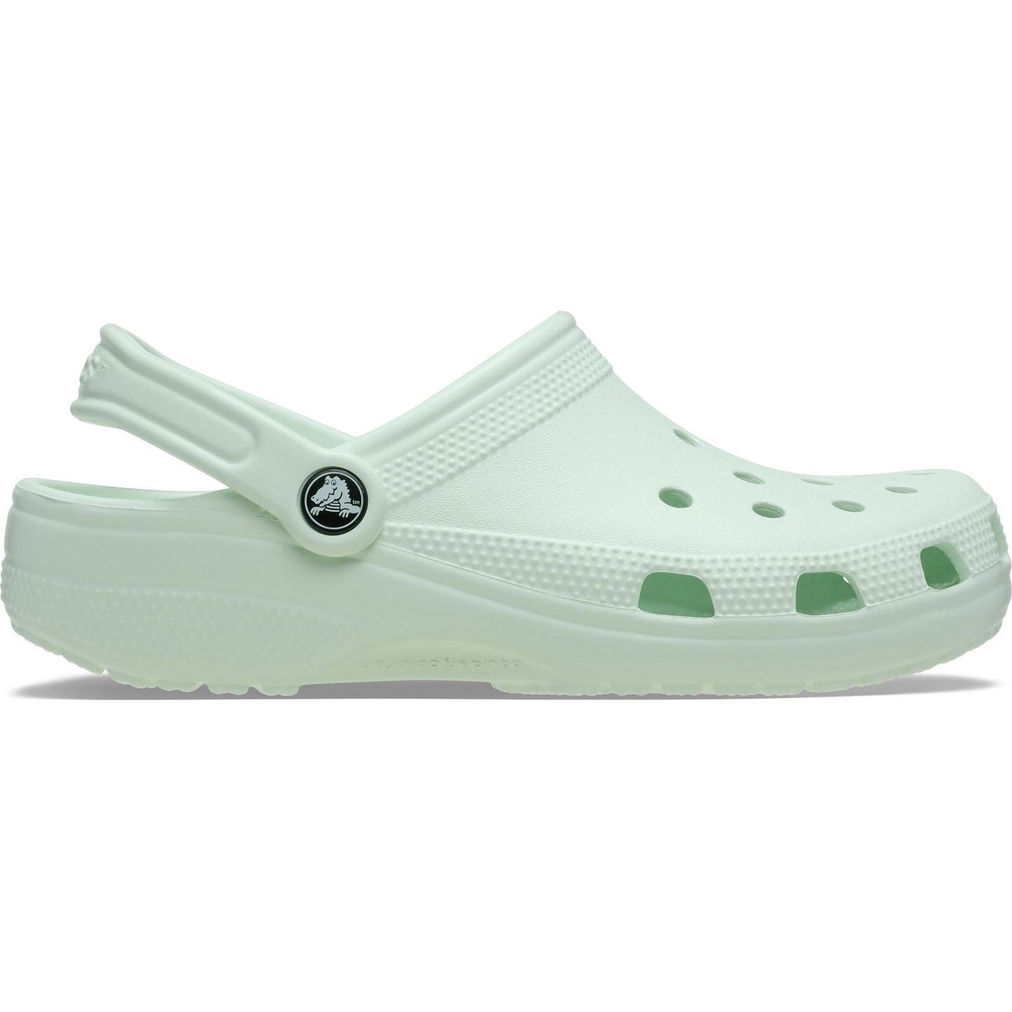 Crocs Classic Clog Thermoplastic Mint Tint Clogs