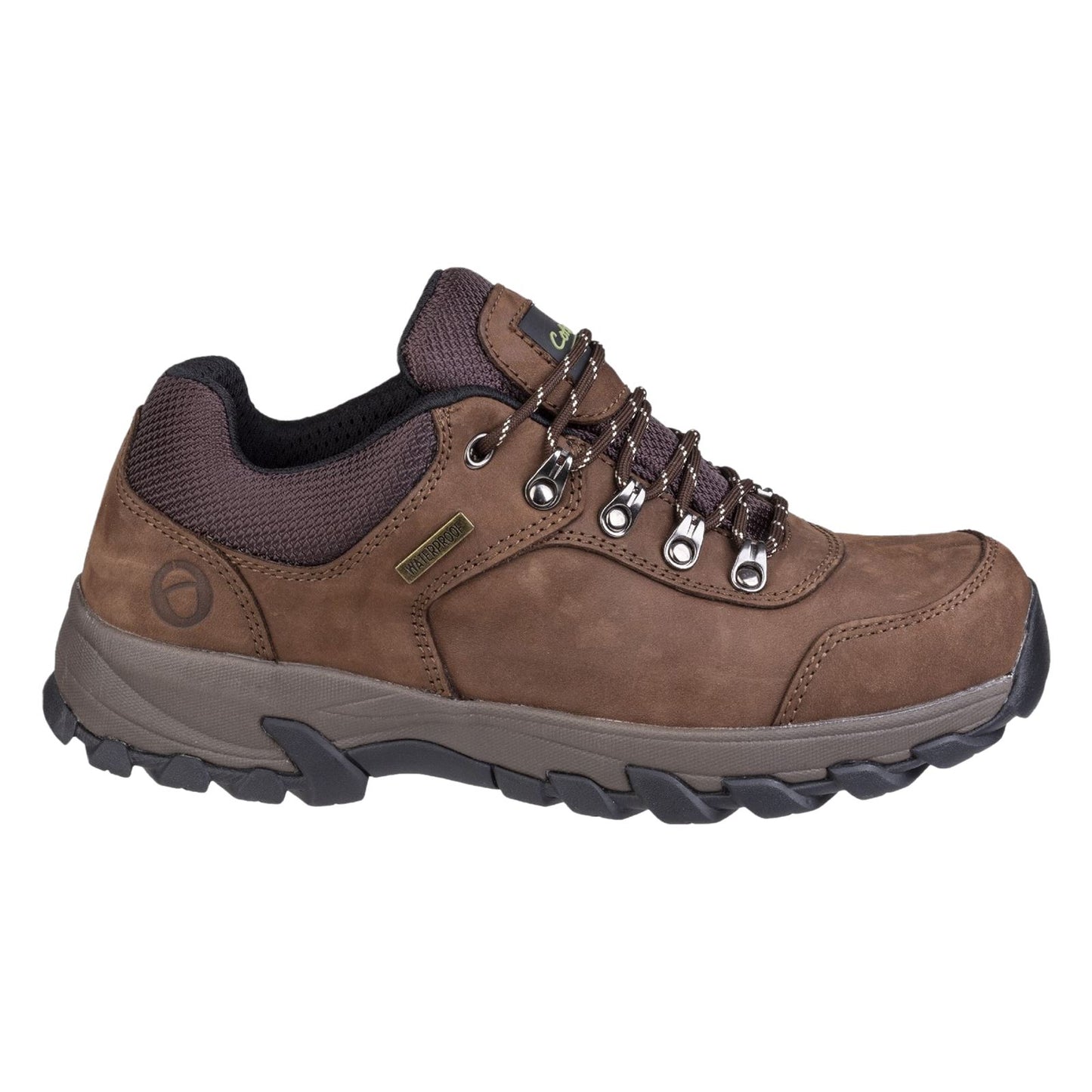 Cotswold Men's Hawling Shoe in Brown