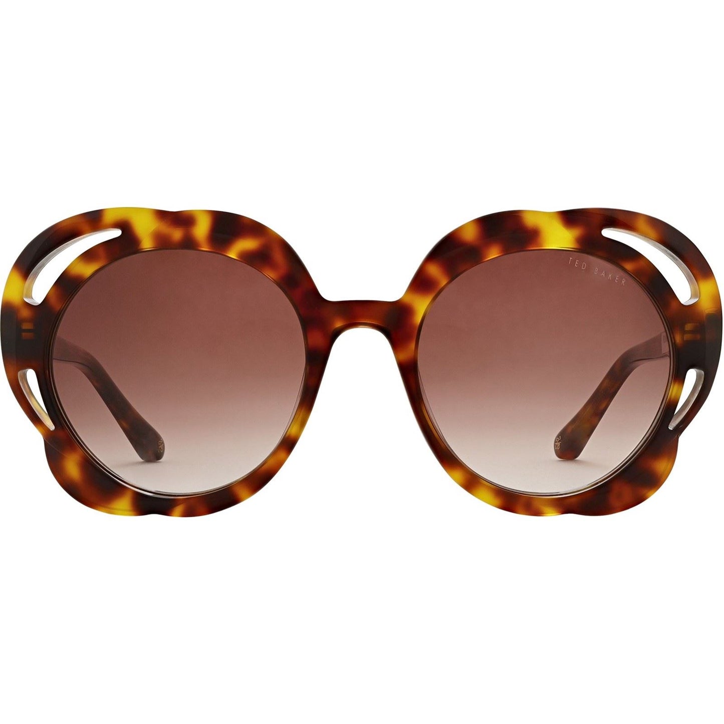 Ted Baker Women's Aurora Sunglasses in Classic Tortoiseshell