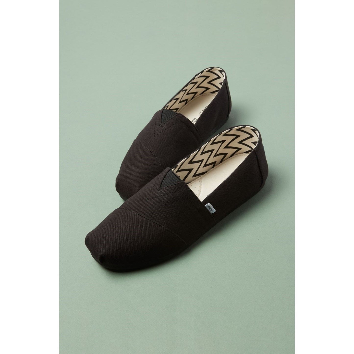 TOMS Men's Alpargata Shoes in Black