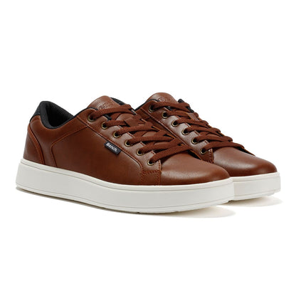 Bench Wainwright Men's Tan Trainers